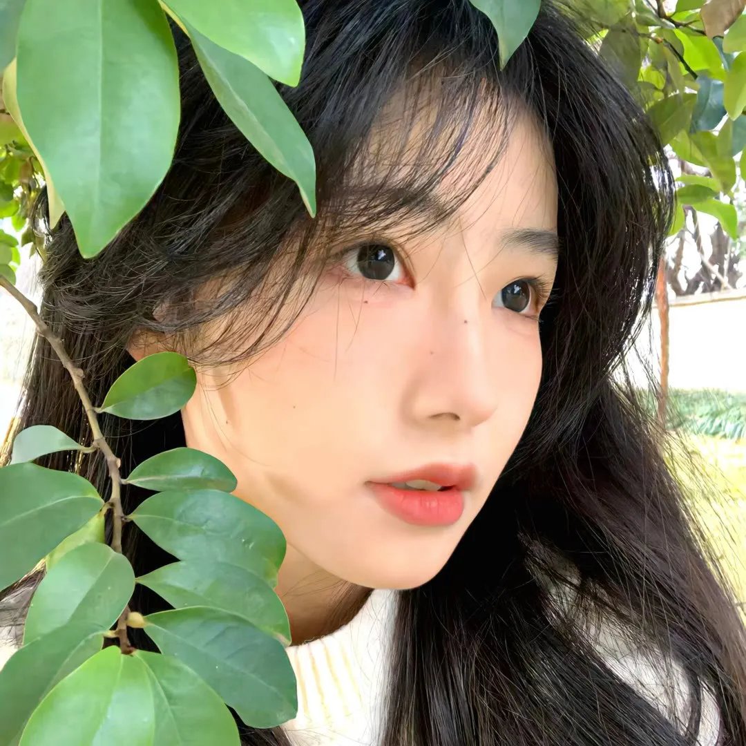 秘杀名单